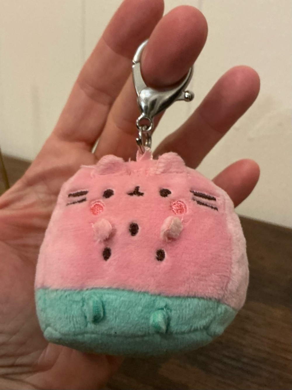 Gund Pusheen Fruit Surprise Blind Box Series 21 Watermelon Plush Keychain Clip